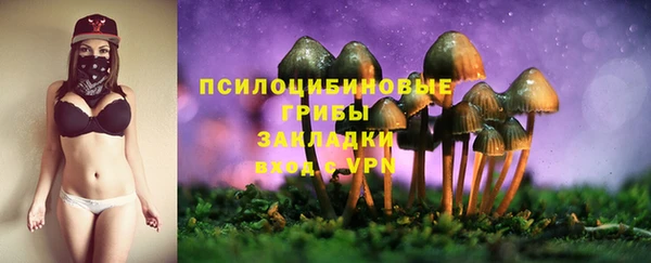 дживик Абаза