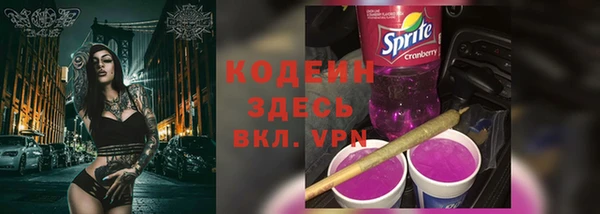 дживик Абаза