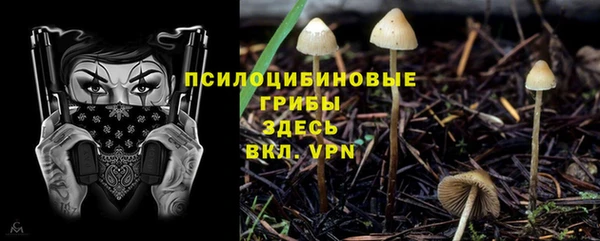 не бодяженный Алзамай