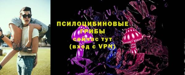 дживик Абаза
