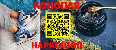 тгк Партизанск