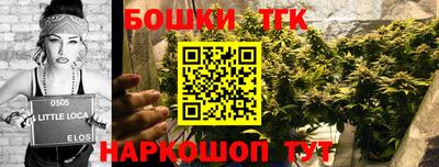 тгк Партизанск
