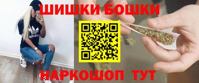 тгк Партизанск
