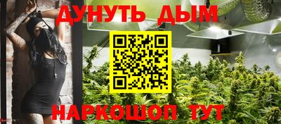 мдпв Пенза