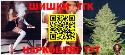 тгк Партизанск