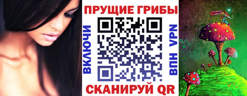 МЕГА как войти  Хабаровск  Псилоцибиновые грибы Psilocybe  цены наркотик 